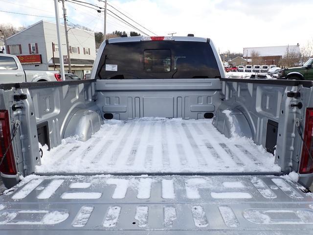 new 2025 Ford F-150 car