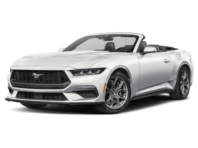 used 2024 Ford Mustang car