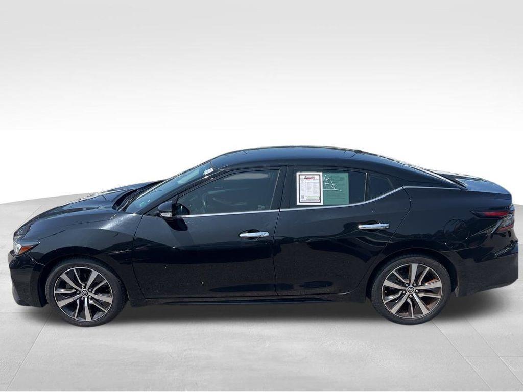used 2019 Nissan Maxima car, priced at $18,900
