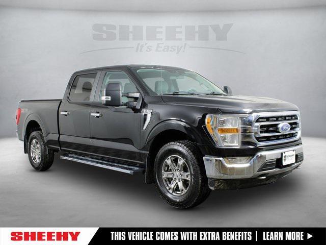 used 2021 Ford F-150 car, priced at $36,995