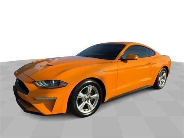 used 2019 Ford Mustang car, priced at $19,000