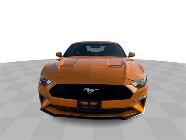 used 2019 Ford Mustang car, priced at $19,000