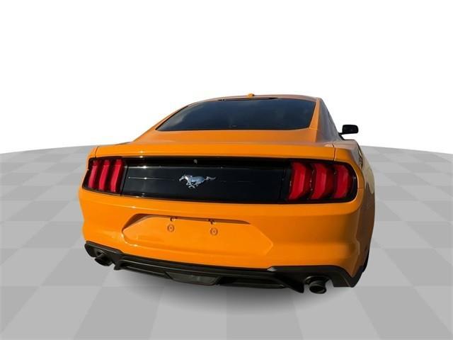 used 2019 Ford Mustang car, priced at $19,000