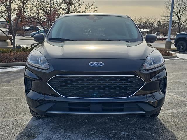 used 2022 Ford Escape car, priced at $19,923