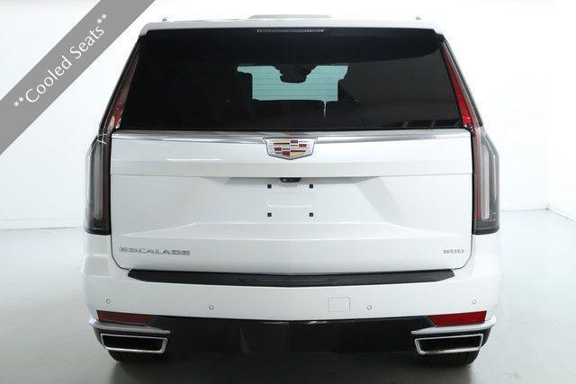 used 2021 Cadillac Escalade car, priced at $65,000