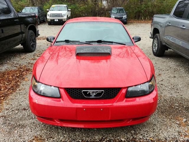 used 2003 Ford Mustang car, priced at $11,891