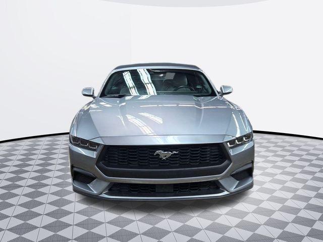 used 2024 Ford Mustang car, priced at $31,500