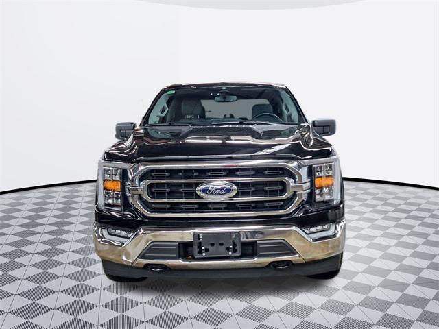 used 2023 Ford F-150 car, priced at $38,500