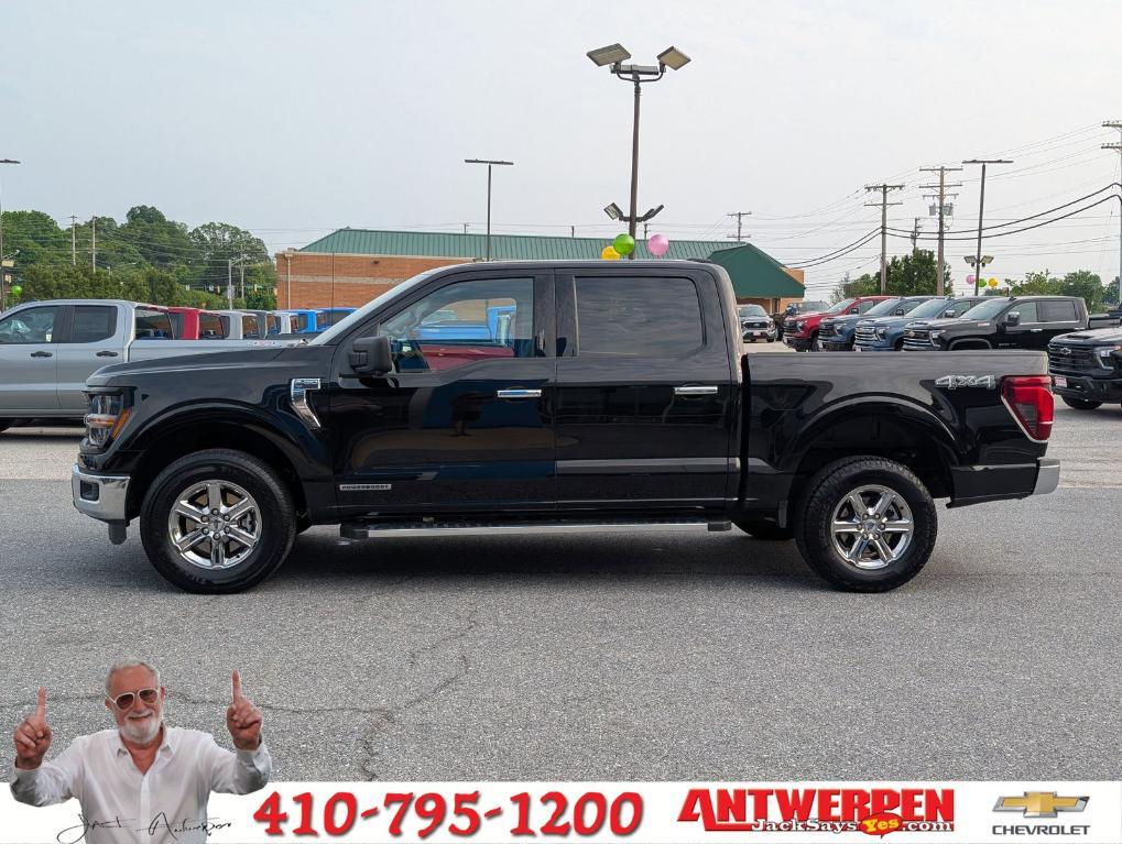 used 2024 Ford F-150 car, priced at $45,695
