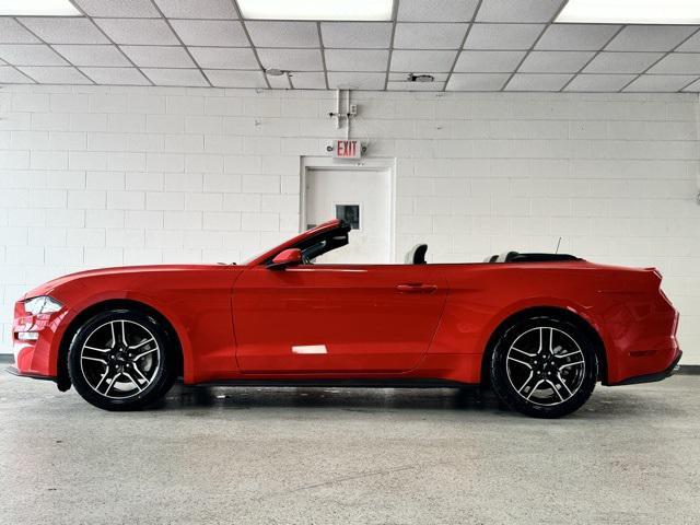 used 2023 Ford Mustang car, priced at $30,000