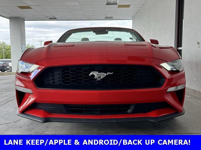 used 2023 Ford Mustang car, priced at $30,000