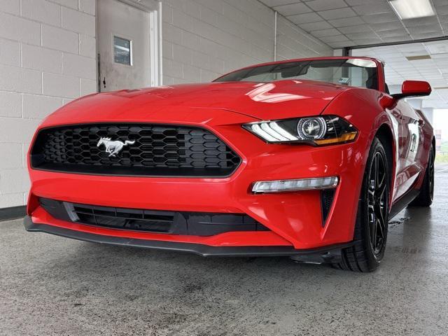 used 2023 Ford Mustang car, priced at $30,000