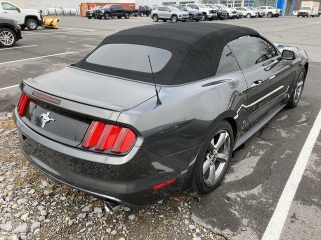 used 2017 Ford Mustang car, priced at $19,000