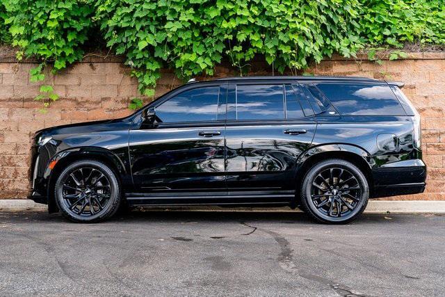 used 2021 Cadillac Escalade car, priced at $59,991