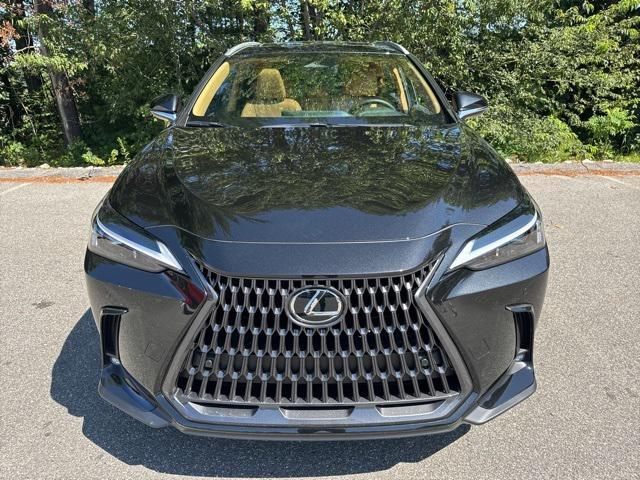 new 2025 Lexus NX 350 car, priced at $50,205