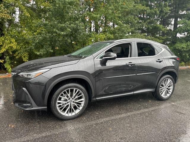 new 2025 Lexus NX 350 car, priced at $52,070