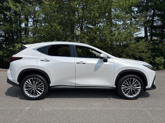 new 2025 Lexus NX 350 car, priced at $51,830