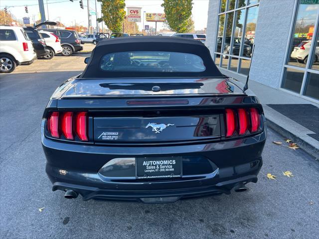 used 2023 Ford Mustang car