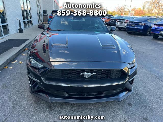 used 2023 Ford Mustang car