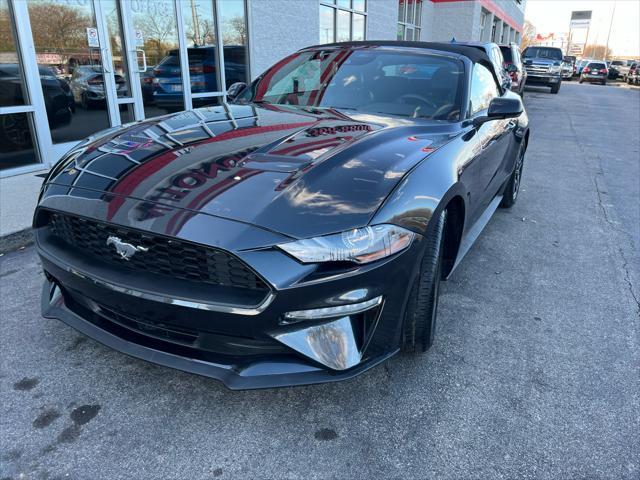 used 2023 Ford Mustang car