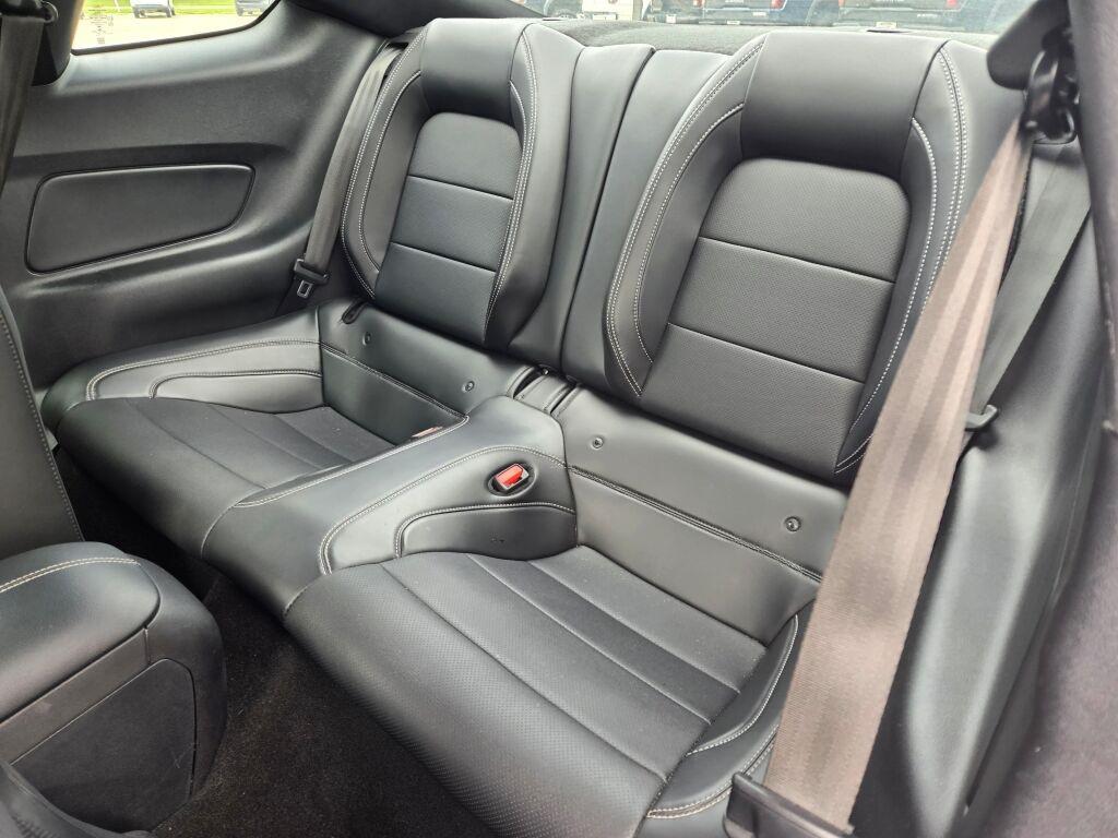 used 2021 Ford Mustang car, priced at $39,800