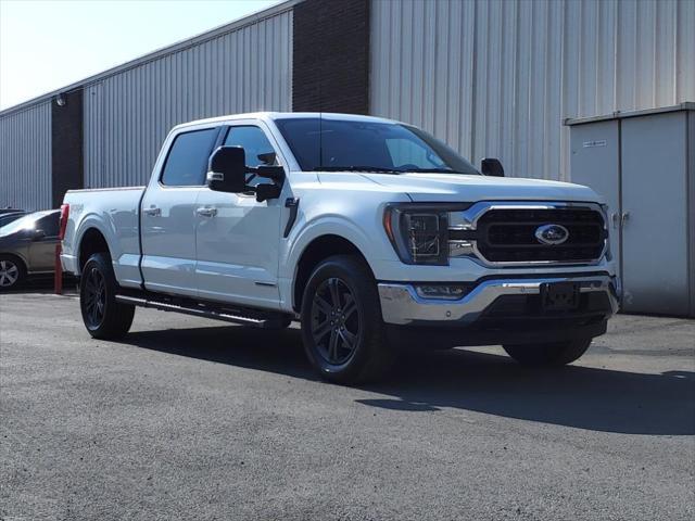 used 2023 Ford F-150 car, priced at $46,900