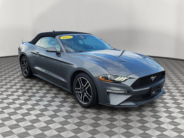 used 2022 Ford Mustang car, priced at $23,300