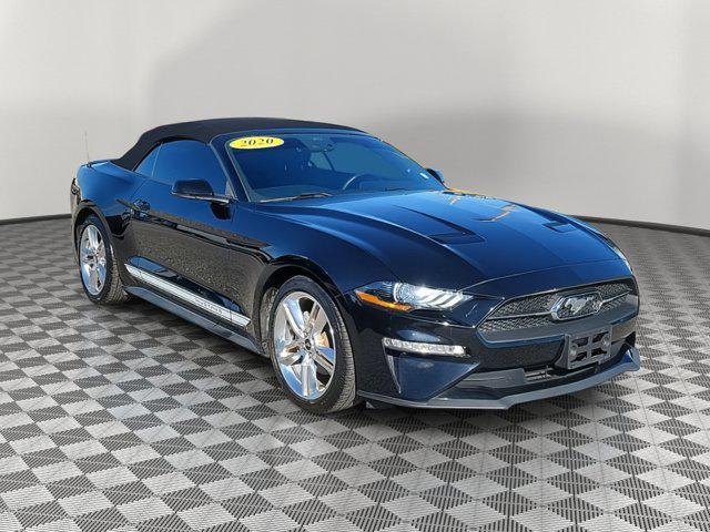 used 2020 Ford Mustang car, priced at $19,000