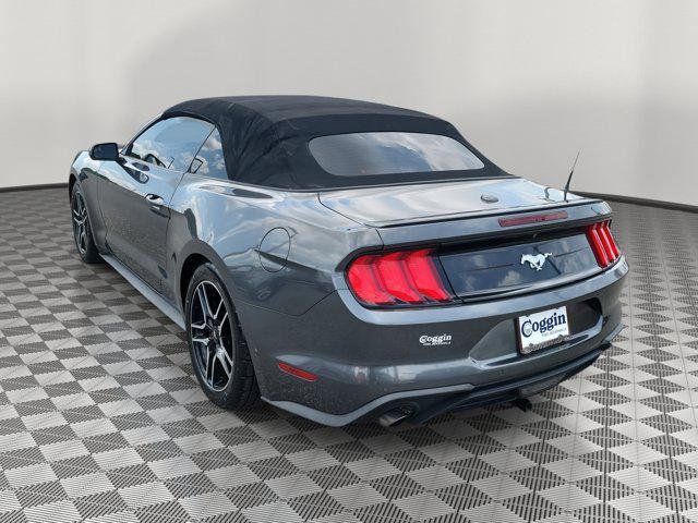 used 2019 Ford Mustang car, priced at $19,980