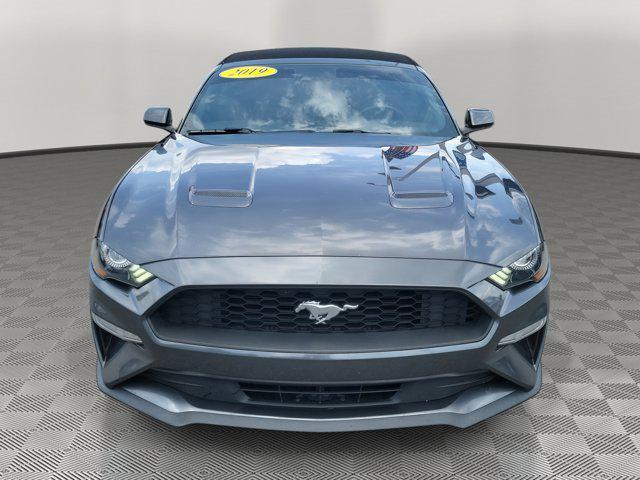 used 2019 Ford Mustang car, priced at $19,980