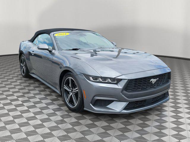 used 2024 Ford Mustang car, priced at $34,500