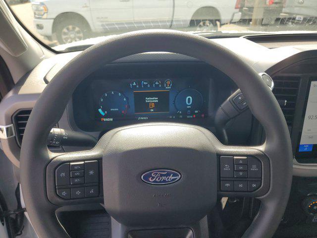 new 2025 Ford F-150 car, priced at $49,191