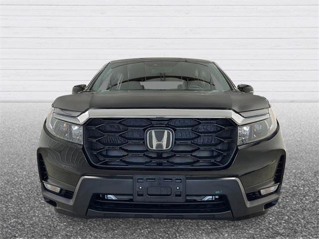 new 2025 Honda Passport car, priced at $43,850