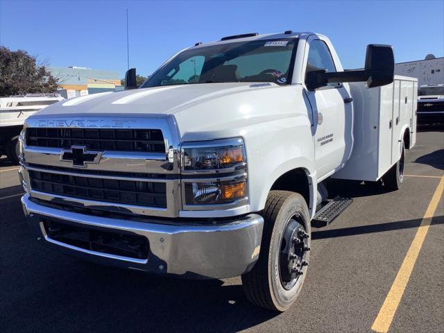 new 2024 Chevrolet Silverado 1500 car