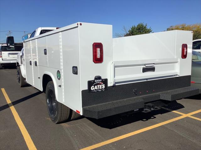 new 2024 Chevrolet Silverado 1500 car