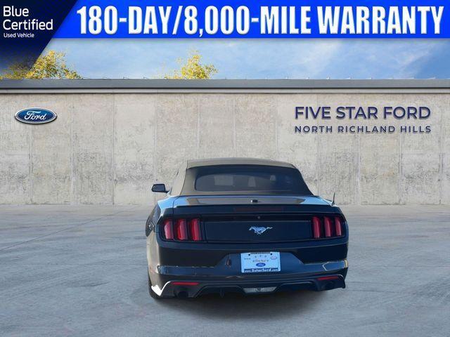 used 2016 Ford Mustang car, priced at $20,000