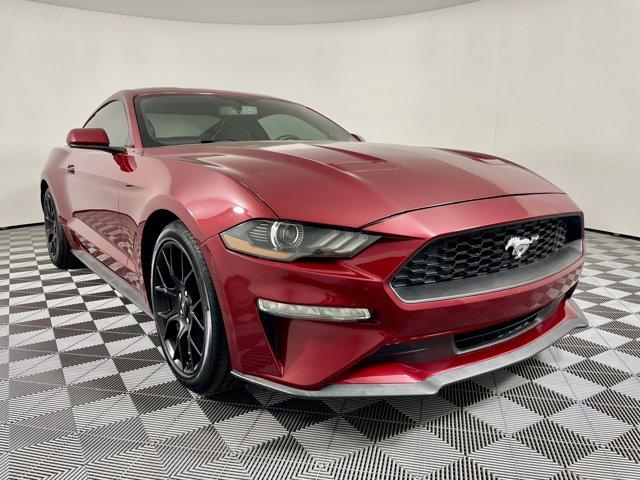 used 2019 Ford Mustang car, priced at $18,477