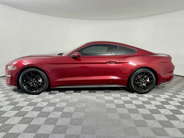 used 2019 Ford Mustang car, priced at $18,477