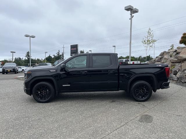 new 2025 GMC Sierra 1500 car