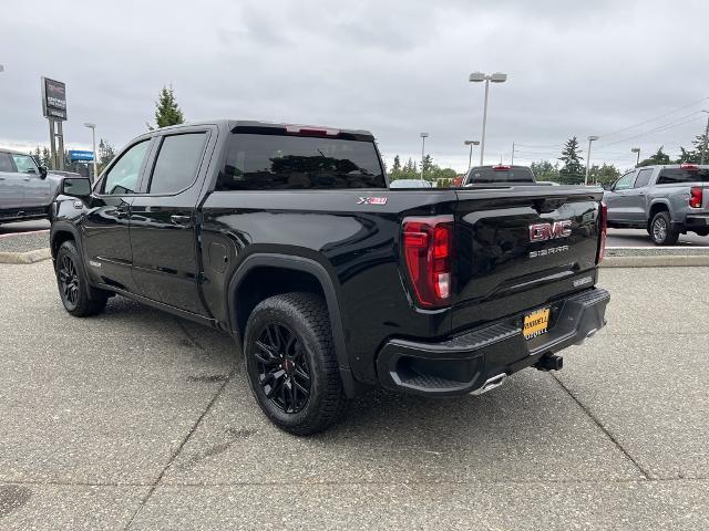 new 2025 GMC Sierra 1500 car