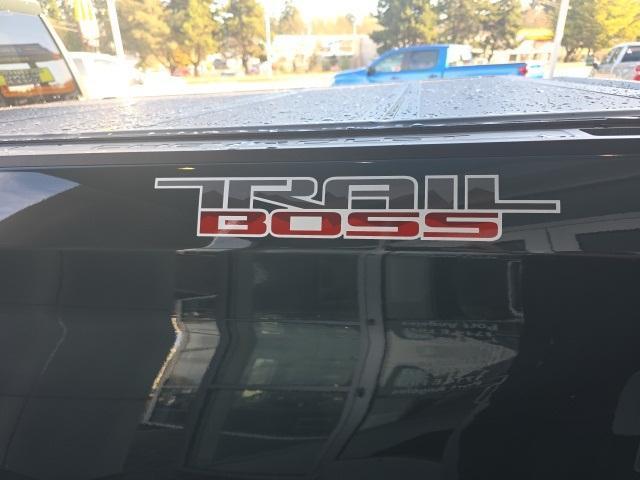 new 2025 Chevrolet Silverado 1500 car
