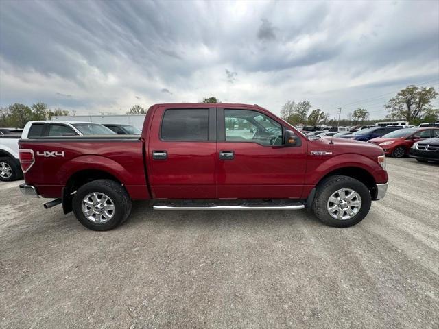 used 2014 Ford F-150 car, priced at $10,000