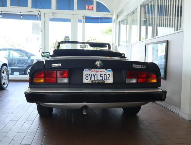 used 1984 Alfa Romeo Spider car, priced at $15,995