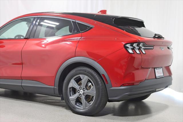 used 2021 Ford Mustang Mach-E car
