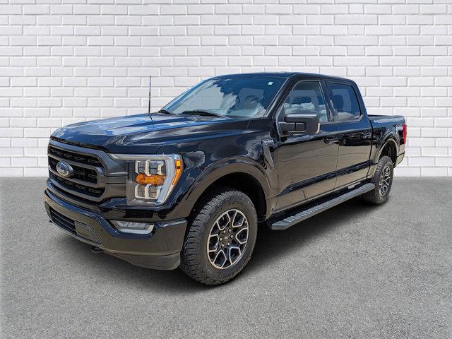 used 2023 Ford F-150 car, priced at $39,990