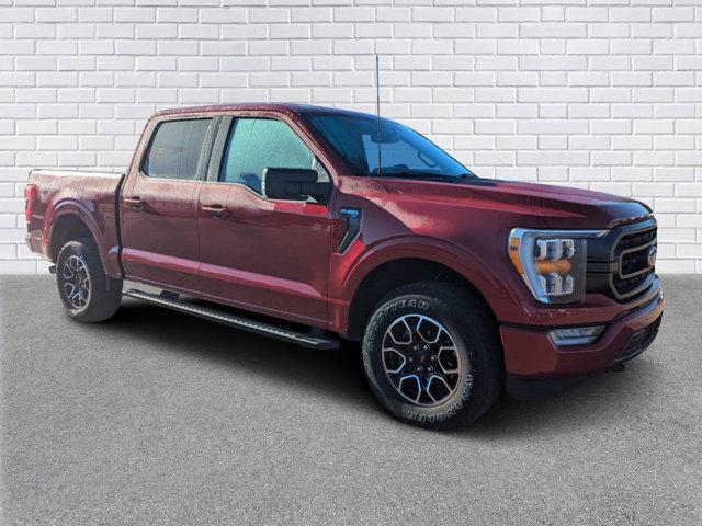 used 2021 Ford F-150 car, priced at $35,990