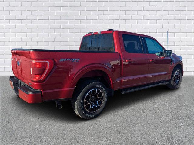 used 2021 Ford F-150 car, priced at $35,990