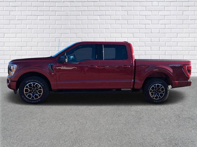 used 2021 Ford F-150 car, priced at $35,990