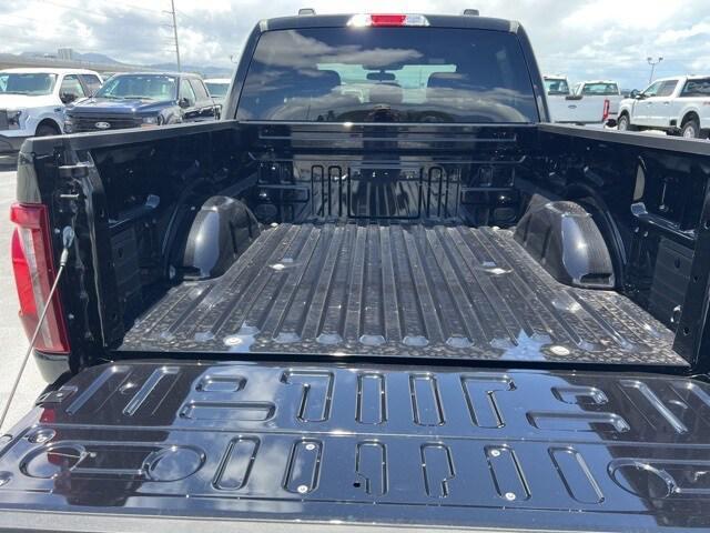 new 2025 Ford F-150 car, priced at $48,250