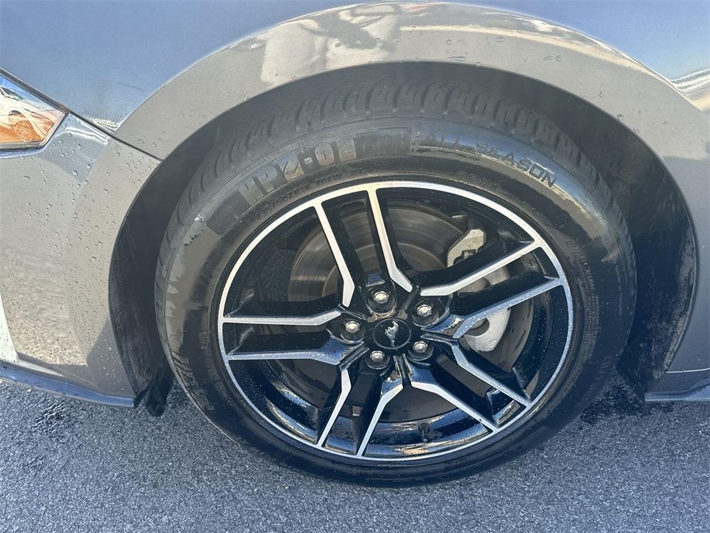 used 2023 Ford Mustang car, priced at $24,282